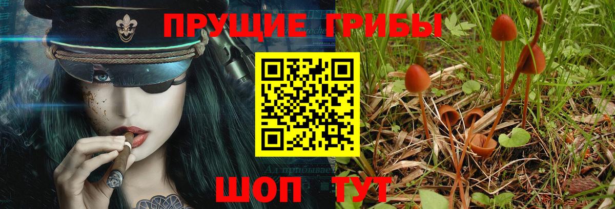 Галлюциногенные грибы ЛСД Зерноград