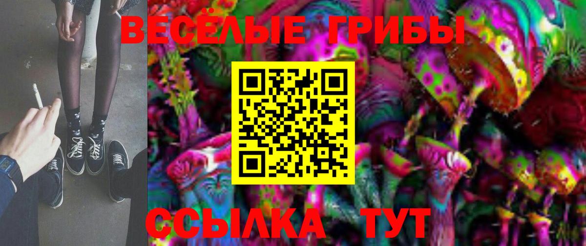 Зерноград  наркота  Вход с VPN  Псилоцибиновые грибы MAGIC MUSHROOMS 